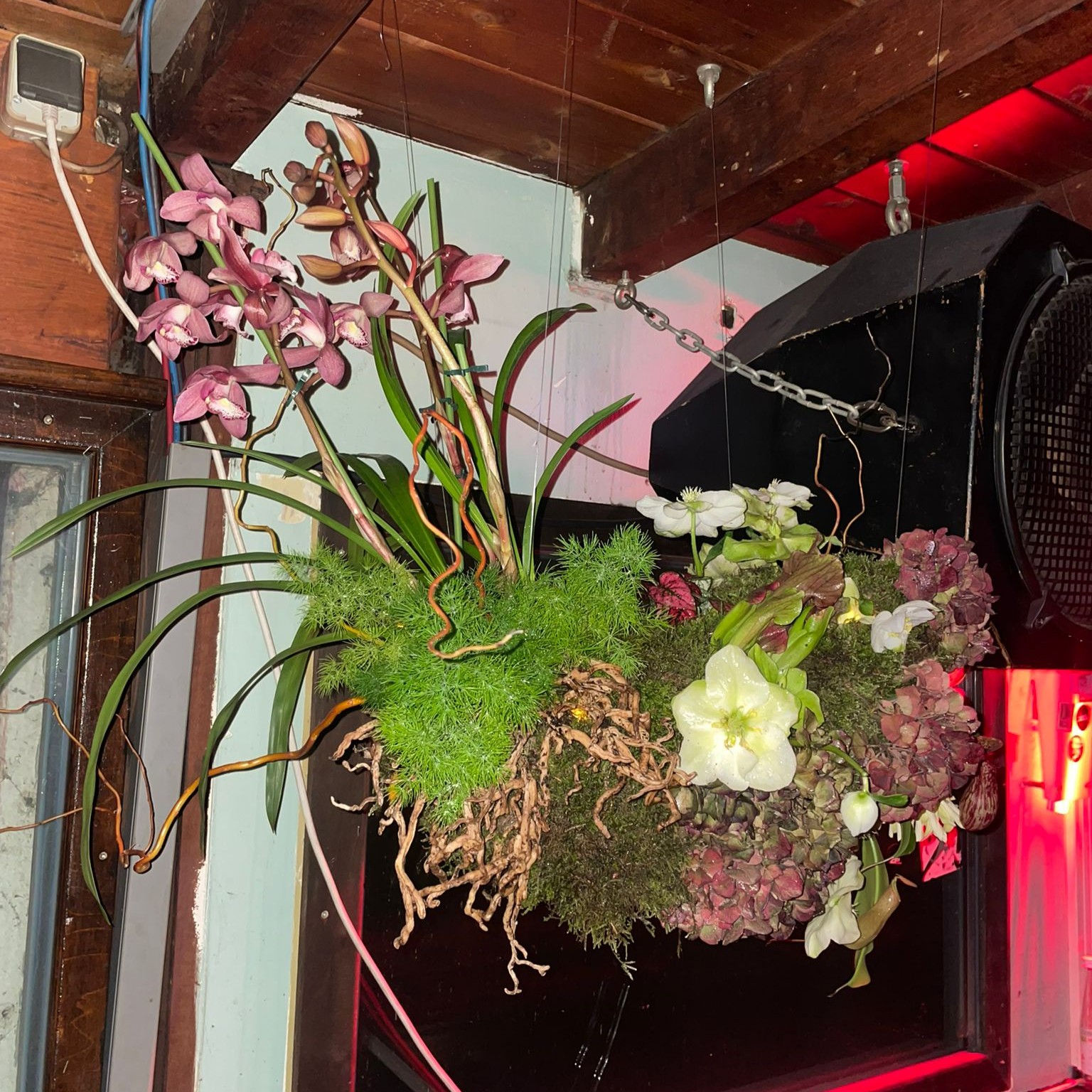 floristik-store-prenzlauer-berg