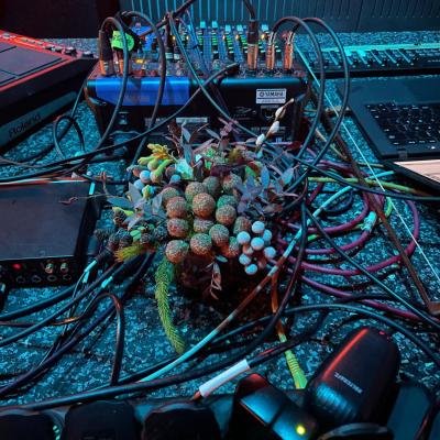 dry floral arrangement