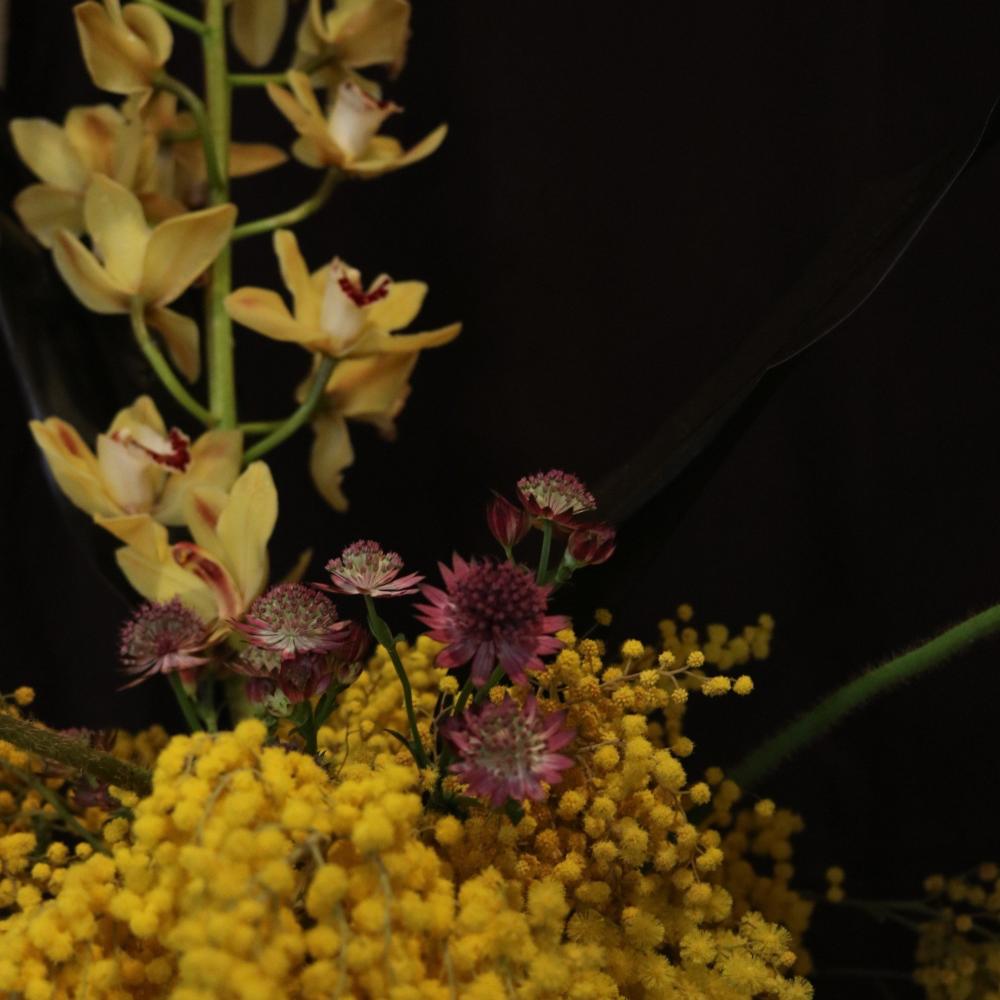 Close-up of yellow cymbidium orchids and burgundy astrantia blooms amid yellow mimosa at Royal Highness, Fitzroy, Berlin