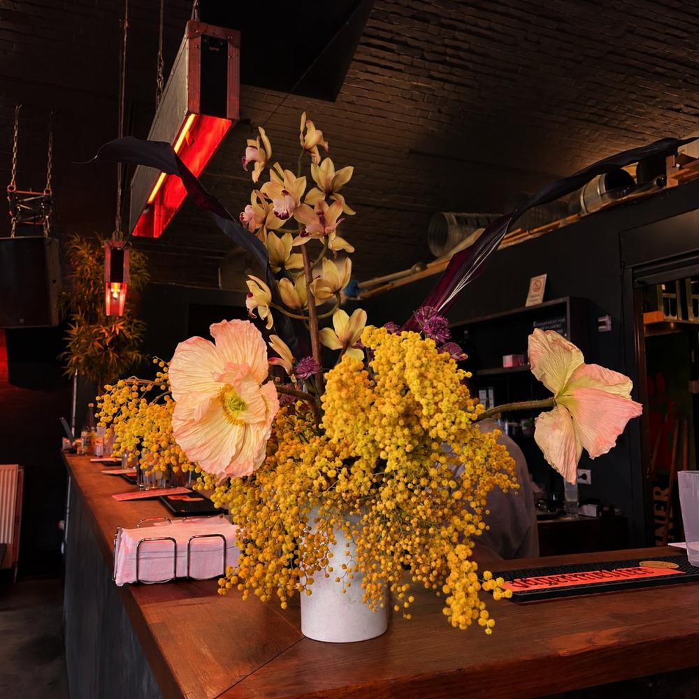 Royal Highness at Fitzroy