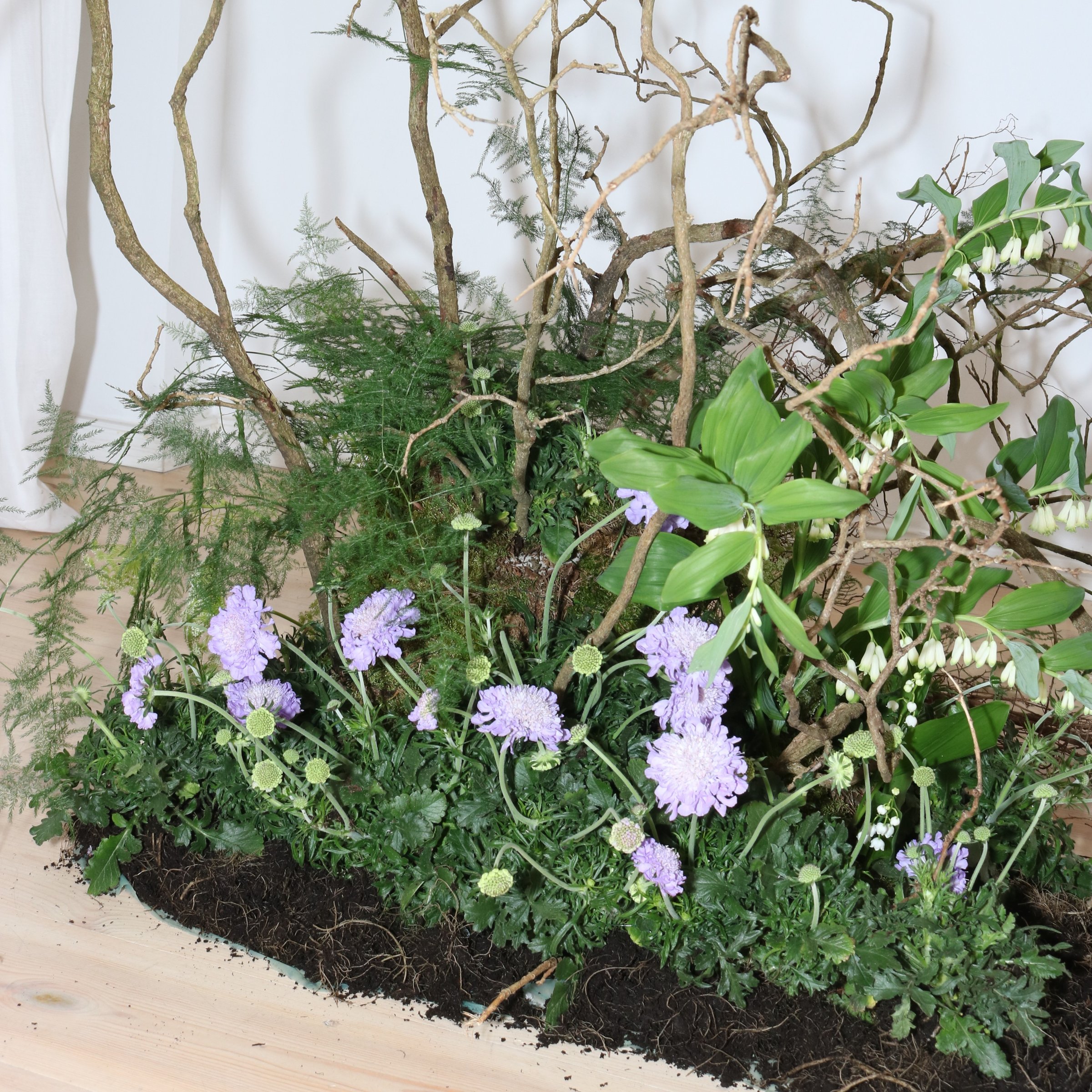 Ground-level floral installation with branching twigs, moss, ferns, and purple scabiosa flowers.