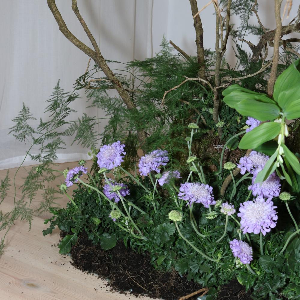 Close-up of purple scabiosa flowers with ferns and bare branches in a floral installation