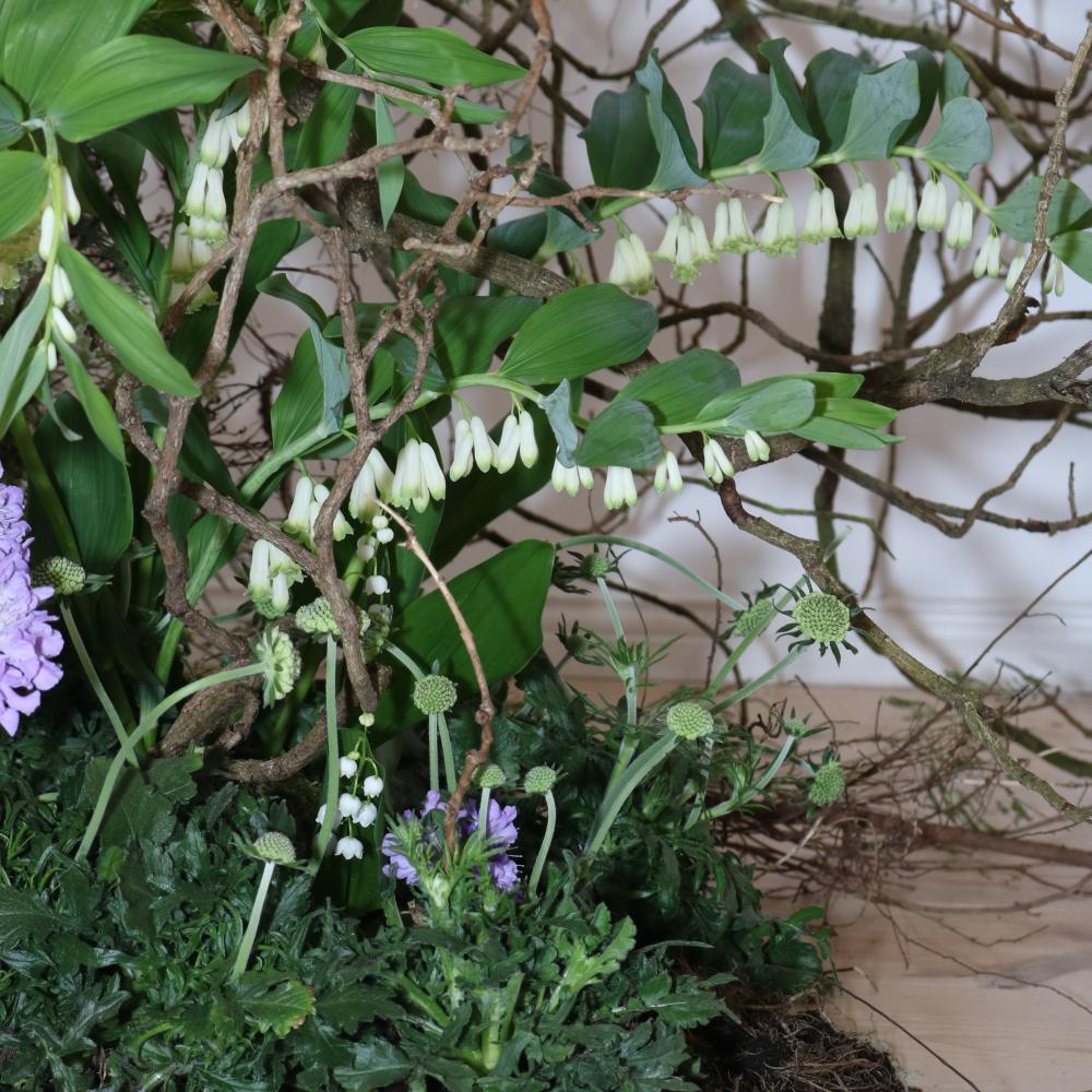 Close-up of lily of the valley and lavender blooms amid twisted bare branches