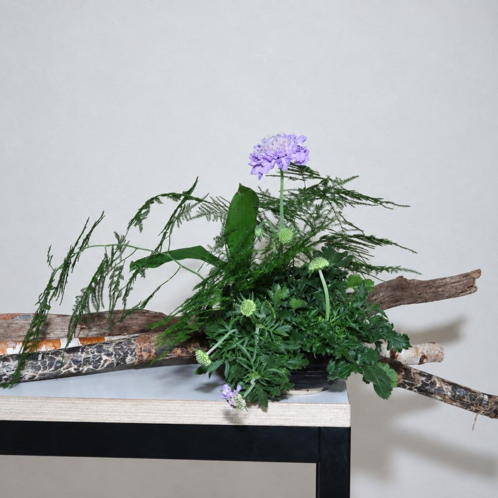 Styled tabletop arrangement of purple scabiosa and ferns with driftwood-style branch props against a grey wall