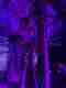 Sophie building a floral installation under purple light at an event in Berlin